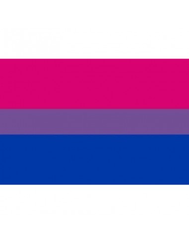 Pride Bisexual Flag Bracelet 90 X 150 | MySexyShop (PT)