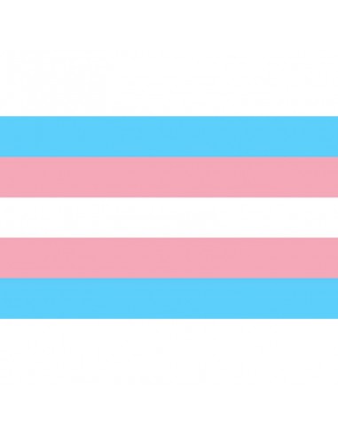 Pride Transexual Flag 90 X 150 - MySexyShop