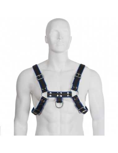 Leather body chest bulldog harness black/blue leather